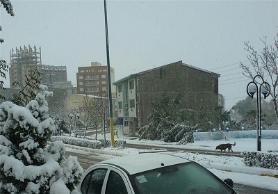 فردا زمستان می‌شود