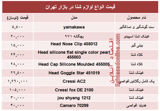 قیمت انواع لوازم شنا در بازار تهران +جدول