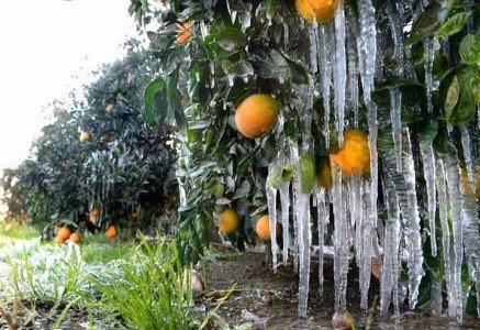 «بیمه»، سوپاپ اطمینان یا ابزار تجارت