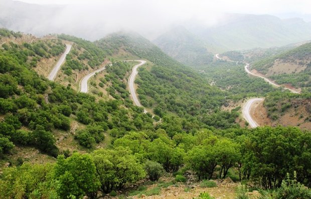 ‌ زاگـرس دود می شود