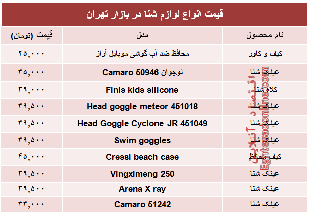 قیمت انواع لوازم شنا در بازار تهران +جدول