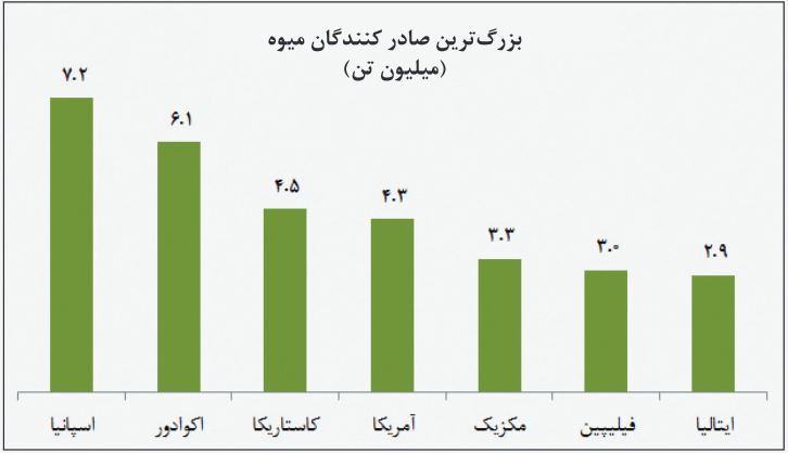 ماتادورها؛ بزرگ‌ترین تامین‌کننده میوه جهان