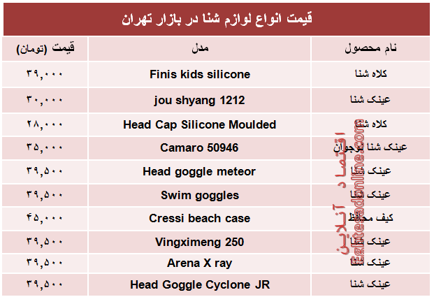 پرفروش‌ترین انواع لوازم شنا در بازار تهران +جدول