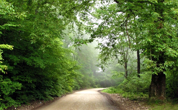 ایران زیبای من (۱) – مازندران