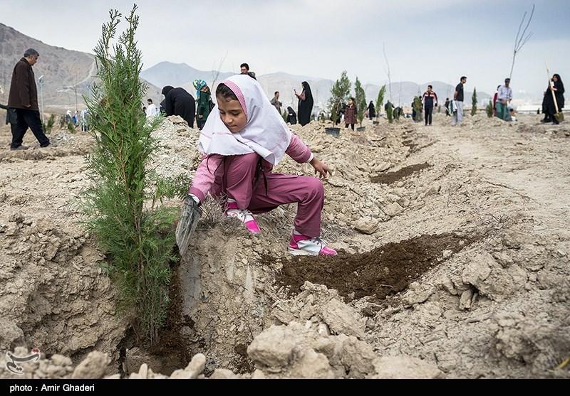 باغات تهران به تاراج رفته است