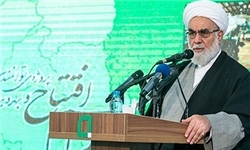 آیت‌الله گلپایگانی: تهران بی‌رویه بزرگ شده است