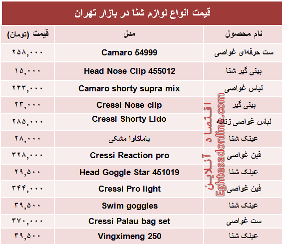 قیمت انواع لوازم شنا در بازار تهران +جدول