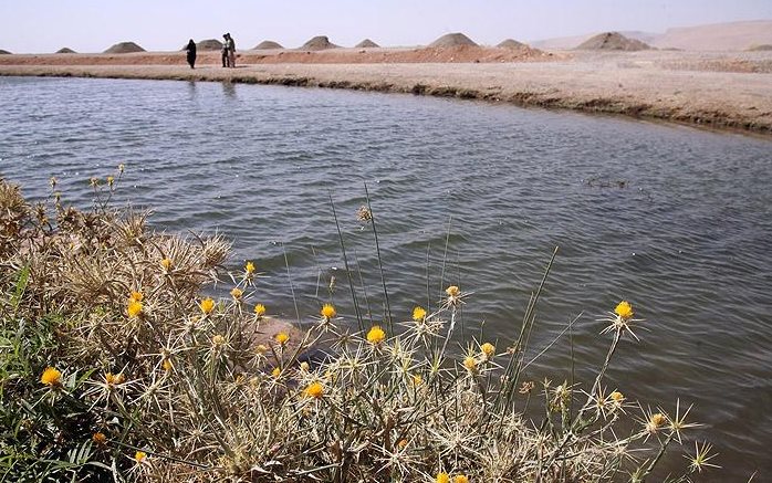 پینگ‌پنگ دولت و مجلس در احیای تالاب‌ها