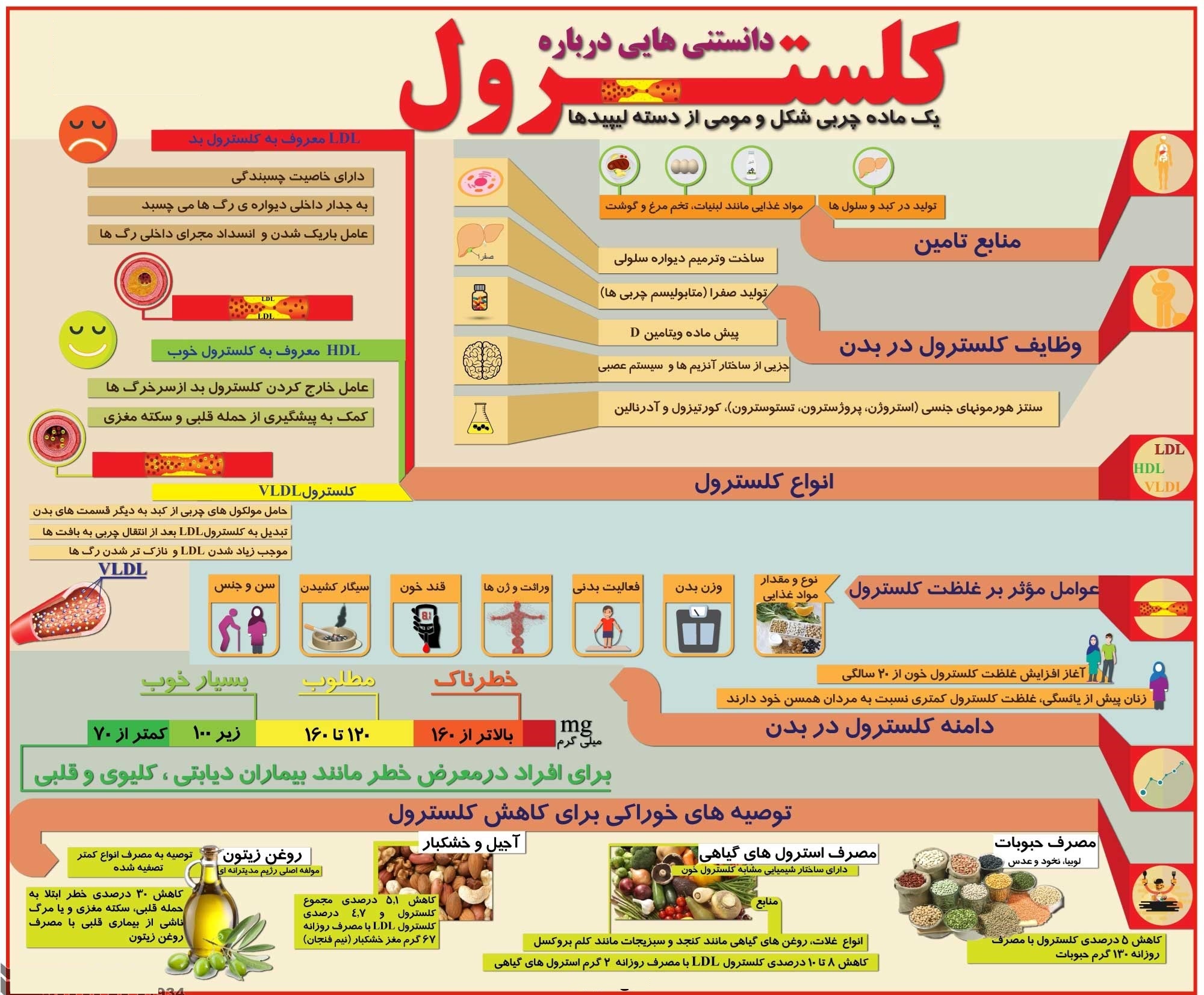 دانستنی‌هایی درباره کلسترول +اینفوگرافیک