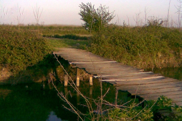 چراغ «آبکنار» خاموش می‌شود؟