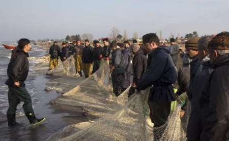 مرثیه سوزناک کاهش صید ماهیان استخوانی