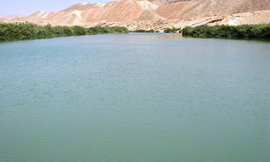 سقوط چهار نفر به رودخانه دشت پلنگ