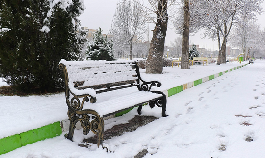 برف و کولاک ۱۲ استان کشور را در نوردید