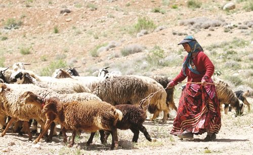 بدهکاران خشکسالی