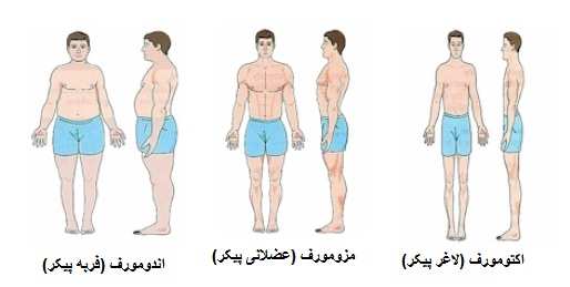 ﻿ پیش بینی شخصیت از روی ظاهر بدن