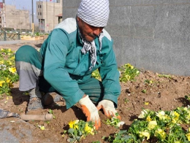 کارگران رها شده در شهرداری