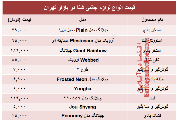 قیمت انواع لوازم جانبی شنا در بازار تهران +جدول