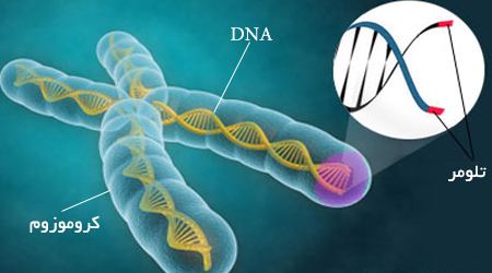 تاثیر افکار منفی بر DNA افراد