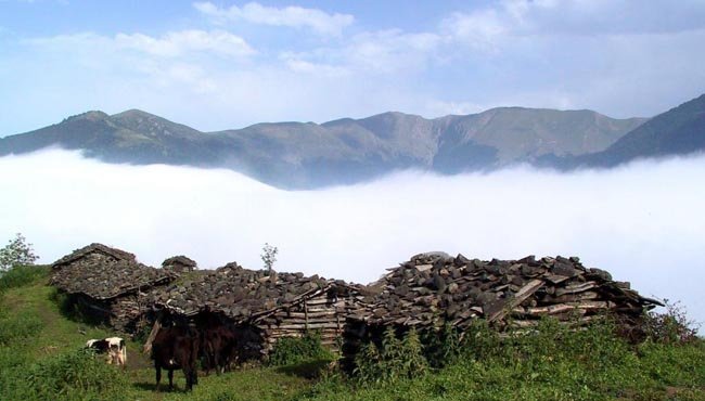 نرخ تورهای طبیعت‌گردی به مناطق خنک ییلاقی