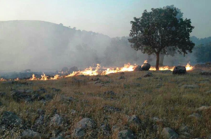 کوه‌خواری، دریاخواری، جنگل‌خواری؛ آتشی که به جان منابع ملی افتاد/  معضلی برای همه استان‌ها