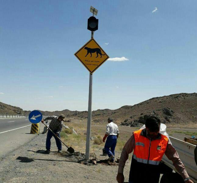 هشدار از اینجا یوزپلنگ عبور می‌کند! +عکس