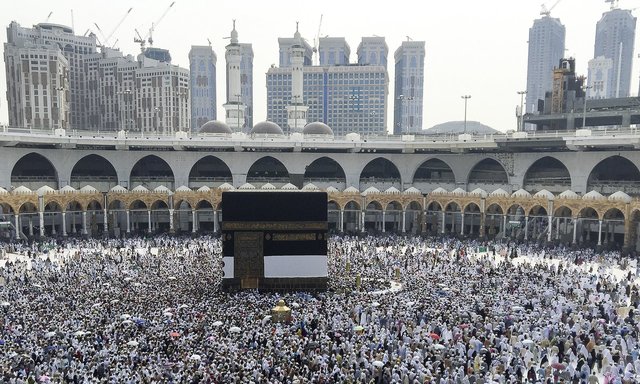 ۳۱تن از زائران خانه خدا در مراسم حج جان باختند