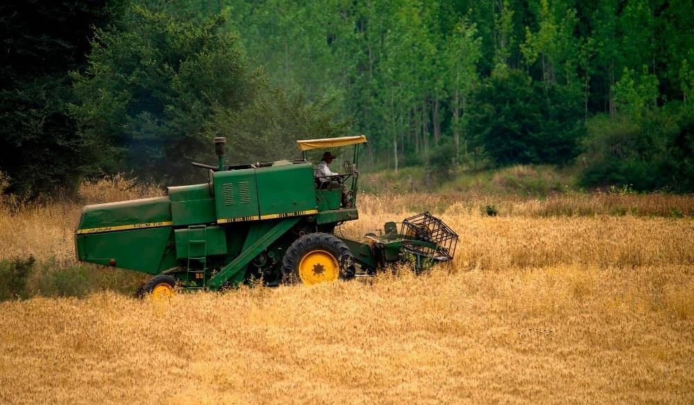 انجام برخورد قاطع با خریدار متخلف گندم