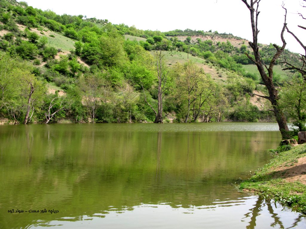 خزان زودرس در مازندران