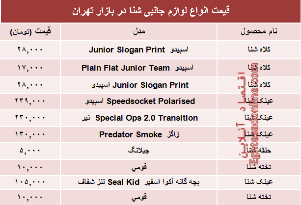 نرخ انواع لوازم جانبی شنا در بازار چند؟ +جدول