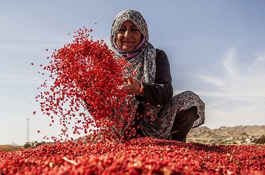 ضرورت ایجاد شغل‌های جدید و پایدار برای روستاییان