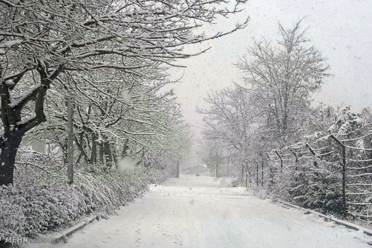 اردبیل ۱۹درجه زیر صفر؛ برخی مدارس تعطیل شد