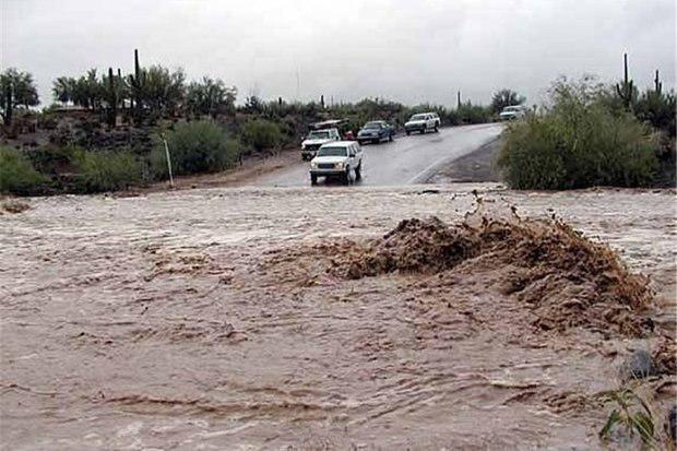 سیل جان دو نفر را در شهرستان دشتی گرفت