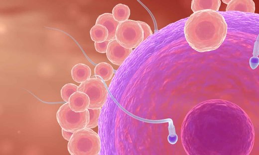 اسپرم معیوب مردان دلیل سقط‌جنین مکرر زنان؟