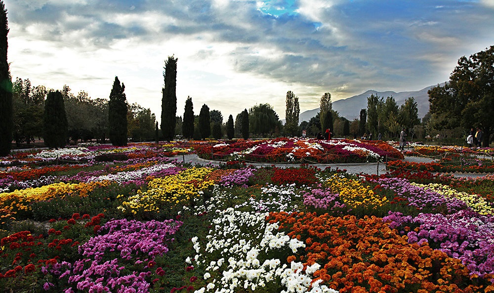 مبارزه با افسردگی به کمک گل و گیاه