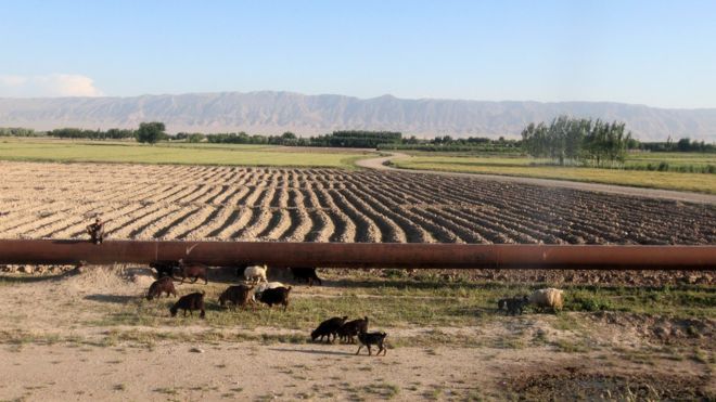 طالبان خط لوله انتقال گاز جوزجان به مزارشریف را قطع کردند