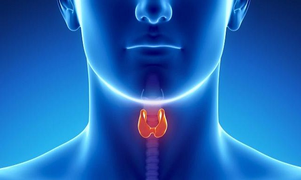 مواد خوراکی مفید برای کم کاری تیروئید