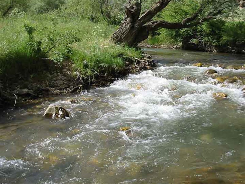 رودخانه تجن ساری سیلابی شد