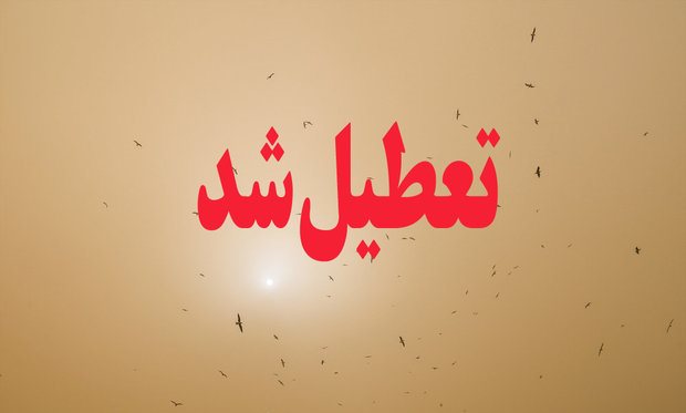 طوفان و آلودگی هوا ادارات سیستان را به تعطیلی کشاند