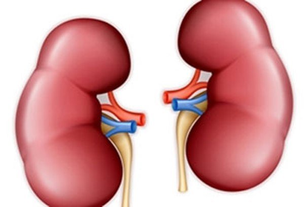کلیه های مبتلا به هپاتیت مشکلی برای پیوند ندارند