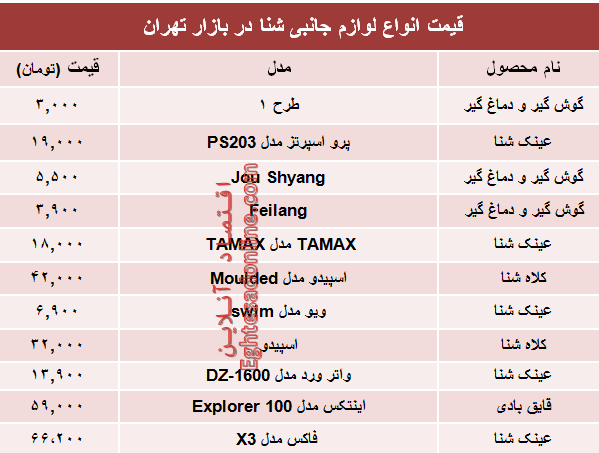 قیمت انواع لوازم جانبی شنا در بازار چند؟ +جدول