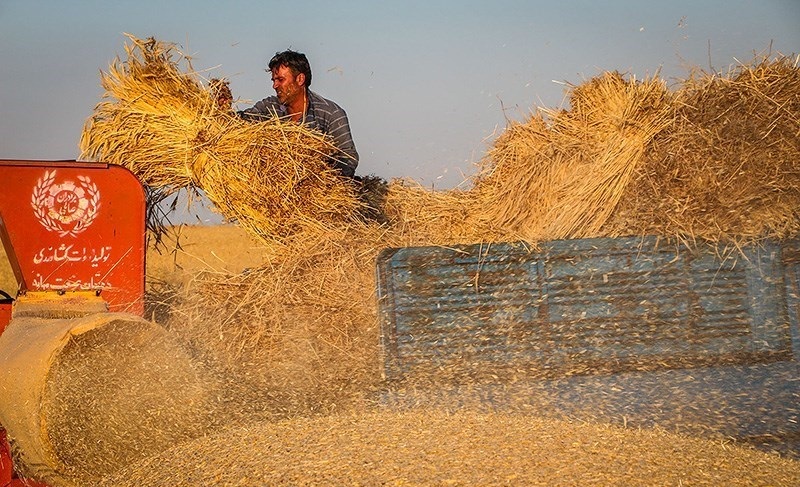 نامه سرگشاده گندمکاران به روحانی