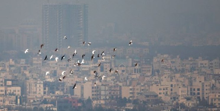 ادامه غلظت آلایندگی در کلانشهرها