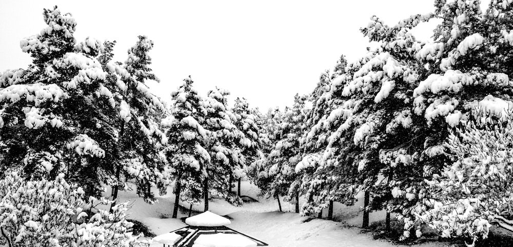 بارش مجدد برف در کشور از جمعه