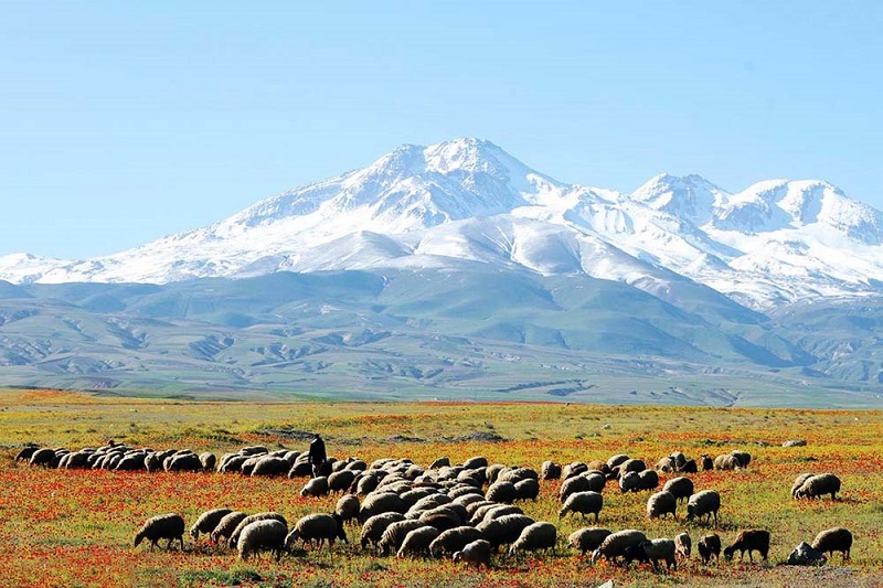 کوه سبلان جهانی می‌شود