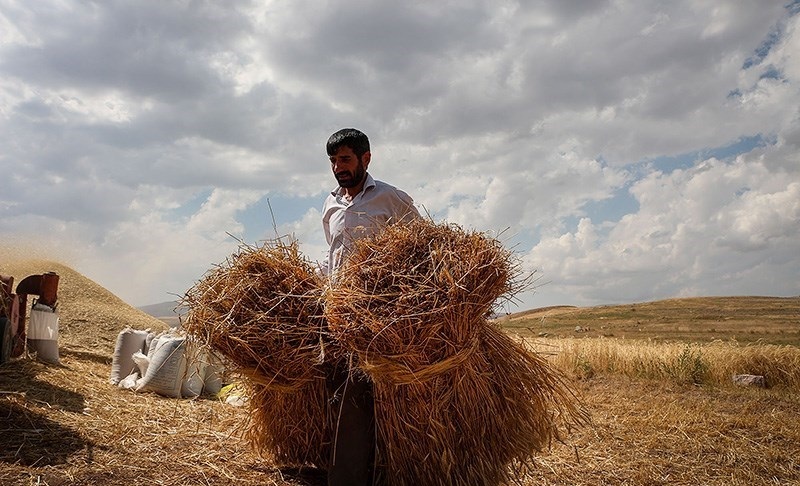 تخصیص ۱.۵ میلیارد دلار برای اشتغال روستایی