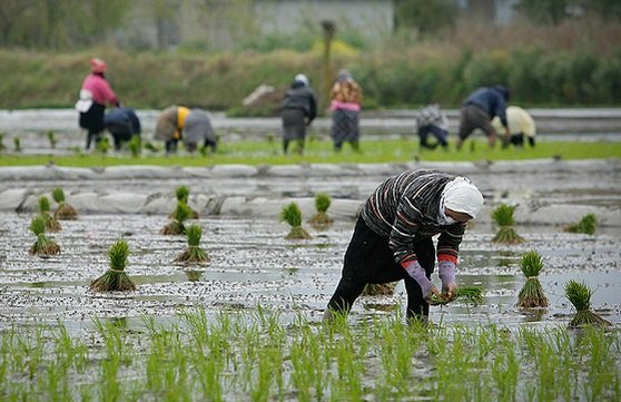 چالش‌های کسب‌وکارهای روستایی در دوران کرونا