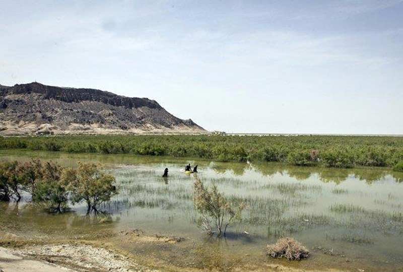 جریان زندگی در جازموریان