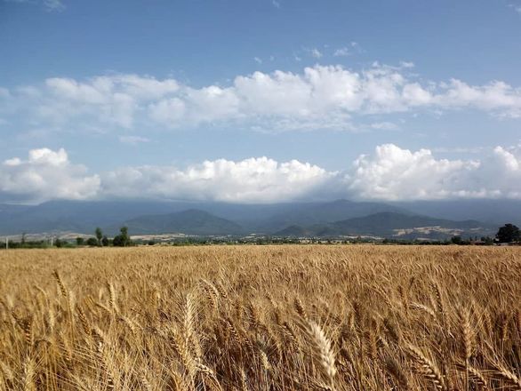 کشاورزان برای زمین‌های تهران سر و دست می‌شکنند