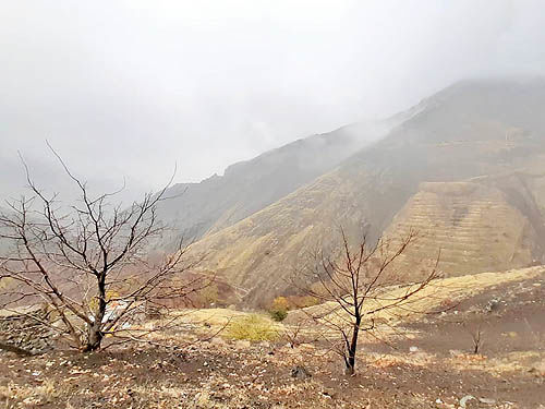 روستاگردی در تهران با چه مانعی روبه‌رو است؟