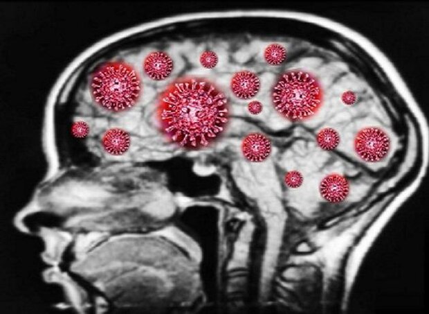 ویروس کرونا بعد از بهبودی بیمار در مغز باقی می‌ماند